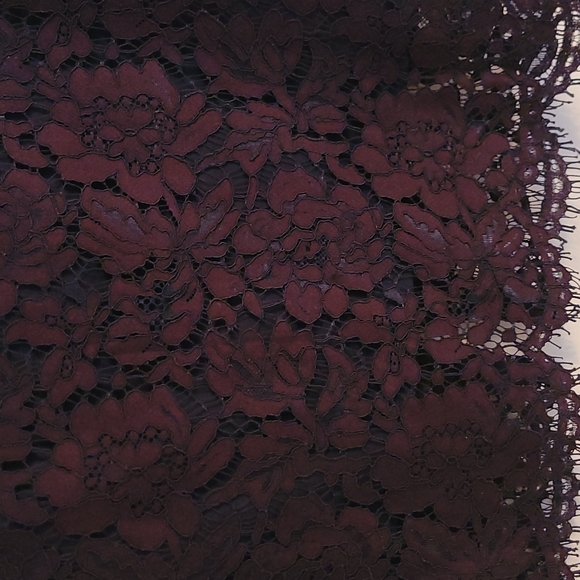 Banana Republic Lace Skirt - Picture 2 of 5